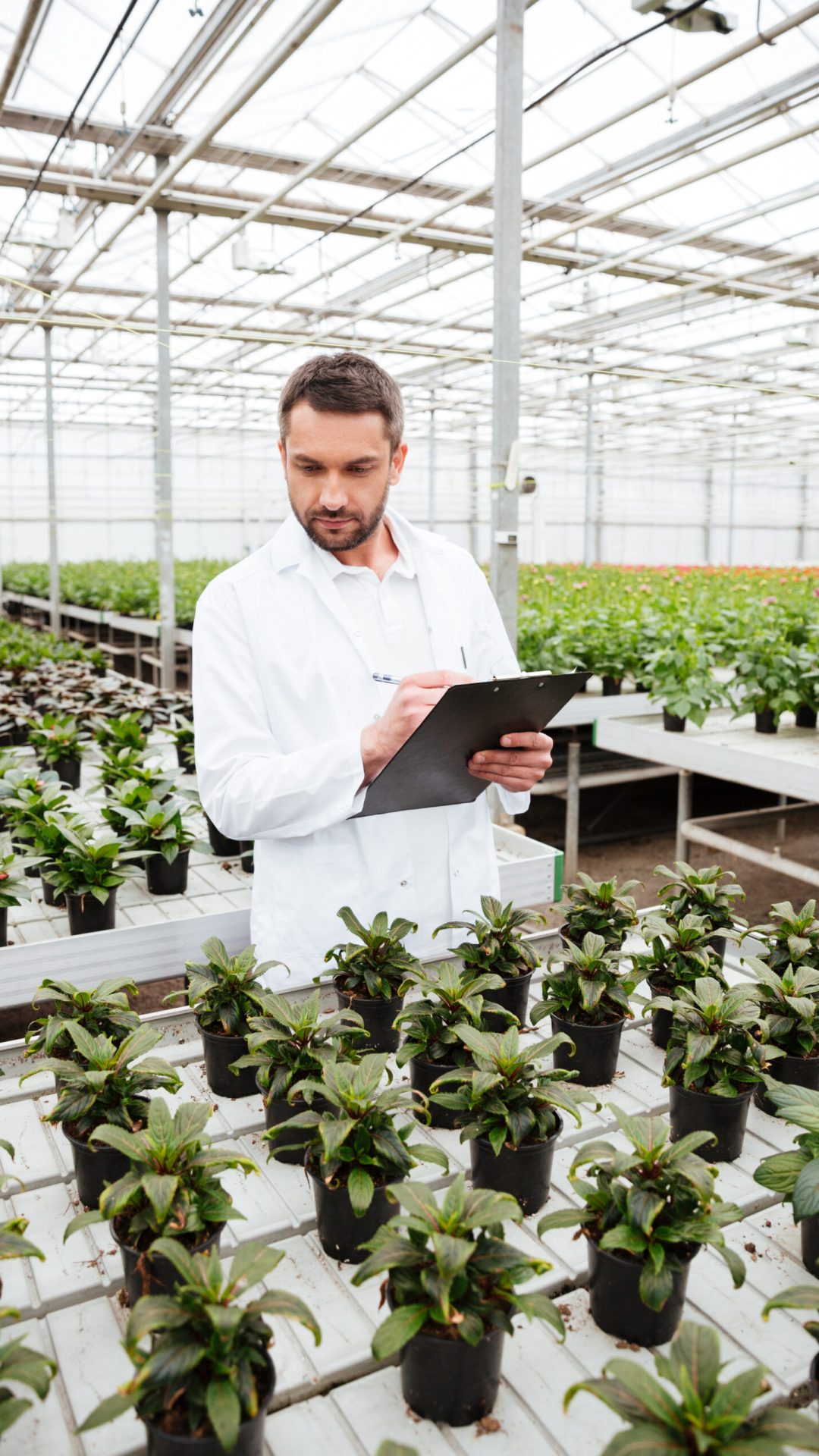 Young concentrated worker in apron holding folder and working with green plants in greenhouse