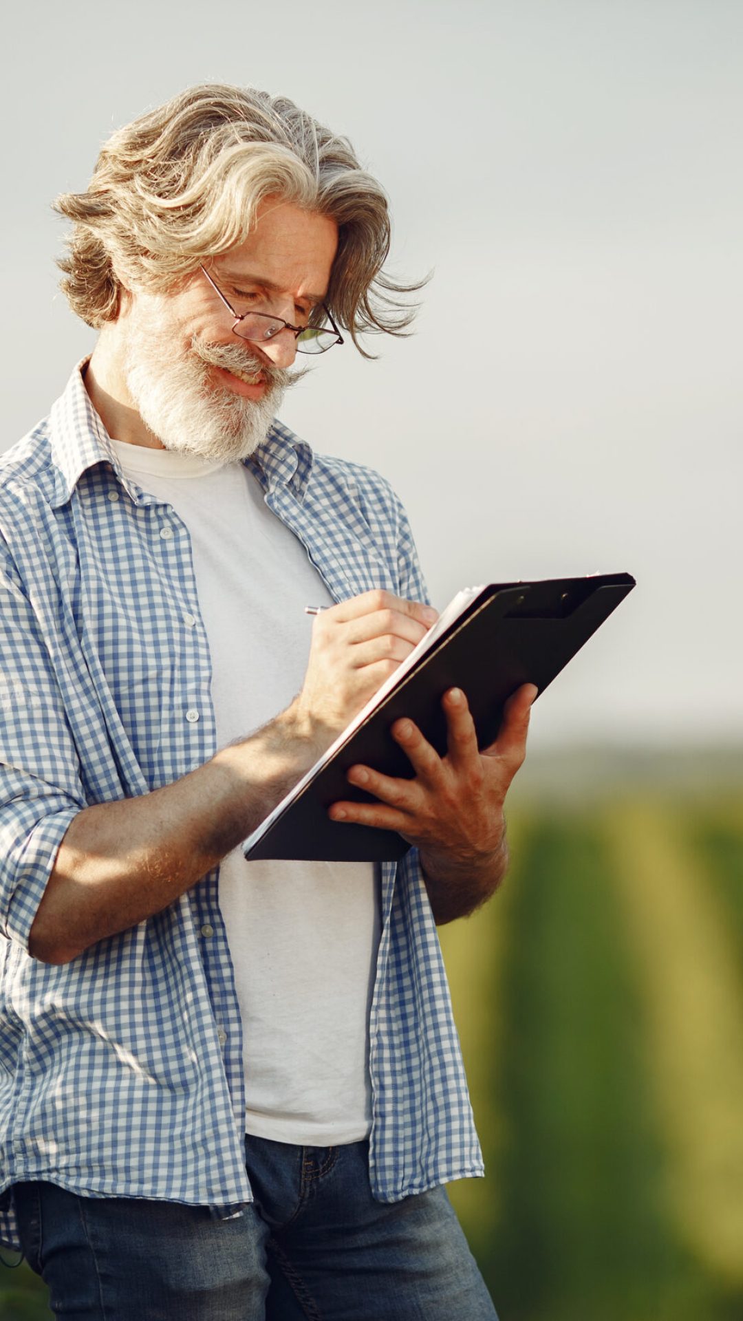 Farmer examines the field. Agronomist or farmer examines the growth of wheat.